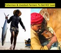Kisan Credit Card: Dairy, Fishery & Livestock Farmers to Get KCC Today