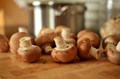 Eat Mushrooms This Winter And Stay Away From Infections
