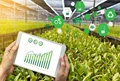 How Artificial Intelligence-Based Technologies Can Assist Farmers