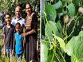 This Family Grows 400 Plant Varieties Including Potatoes In Vines in Their Garden