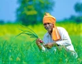 PM Kisan: 10th Installment To Be Transferred On This Day, Many Farmers Might Not Get It, Know Why?