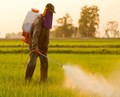 Agrochemicals Industry Seeks Enhanced Government Support for “Make in India” in 2022