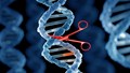 Importance of Gene Editing For Food Security And Environmental Sustainability
