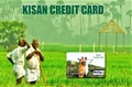 Get Loans Upto 3 Lakhs For Livestock Farming Under Pashu Kisan Credit Card