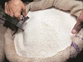 India Appeals Against WTO Verdict Over Sugar Export Subsidies