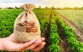 Farm Loan: Government to Provide Rs 17000 crore to Farmers on Zero Percent Interest