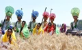 Lohri 2022: All You Need To Know About The Famous Harvest Festival
