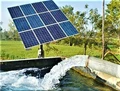 PM Kusum: Get 75% Govt. Subsidy for Installation of 50,000 Solar Pumpsets
