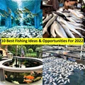10 Most Profitable Fishing Business Ideas & Opportunities To Start In 2022