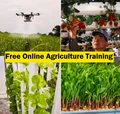 Free Online Agriculture Training: Haryana University to Provide Expert Advice, Training to Farmers
