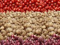 Erratic Weather Likely to Reduce Tomato, Onion and Potato Crop Yield