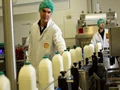15 Largest Dairy Corporations in the World