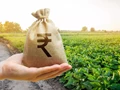 Union Budget 2022: Government Plans To Spend Nearly $19 Billion to Compensate Fertilizer Companies