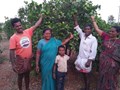 Andhra to become India’s First  Zero-Budget Natural Farming State