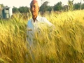 ICAR Curriculum Committee Invites Rajasthan Farmer To Frame Syllabus for Agri Universities