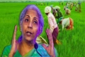Union Budget 2022-23: Will Govt. Take Measures to Boost Farmers' Income?