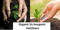 Organic Vs Inorganic Fertilizers: Cost, Composition, Nutrient Availability, Application & Environmental Impact