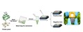Vertical Flow Immunodevice- An Innovative Low-Cost Device for Early Monitoring of Plant Viral Diseases