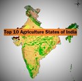 Top 10 Leading Agriculture States of India – With Most Crops!