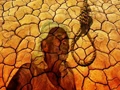 RTI Report: 2,498 Farmers Committed Suicide in 11 Months