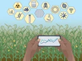 Nanobiosensors: Inevitable Technology For Smart Farming