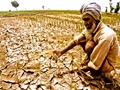 Congress Loan Waiver Promise Exposed: Farmers Accuse Party of Breaching Poll Promise To Waive Farm Loans