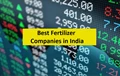 Top Fertilizer Companies in India & Best Stocks That You Can Invest In