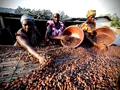 Nestle To Provide Funds to Cocoa Farmers for their Children's Education