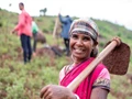 Natural Farming: Andhra Government to Provide Financial Assistance to Over 70,000 Women Farmers