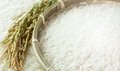 Government May Keep Rice Subsidy for Ethanol to Reduce Stock
