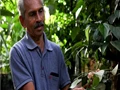 It Took 25 Years For This Farmer To Grow 100 Plant Species In One Acre of Land! You’ll Love His Story