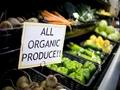 Are Organic Foods More Safer & Nutritious Than Conventional Ones?