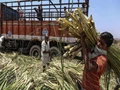 Ethanol Sale Helps Sugar Mills Earn Additional Income & Clear Cane Arrears To Farmers