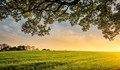Zero-Budget Natural Farming To Be Included in Agricultural University Curriculum