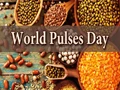 World Pulses Day: Know History, Significance & Theme of This International Day