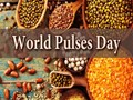 World Pulses Day: Know History, Significance & Theme of This International Day