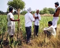 PM Kisan Latest Update: Government Identifies More Than 11 Lakh Ineligible Beneficiaries