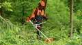 Top Brush Cutters in India; Check Best Products Available in the Market