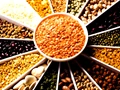 Top 10 Indian States With High Pulses Production