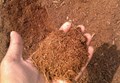 India's Coir Pith Creates a Stir in International Markets