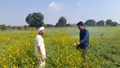 How Intercropping Has Increased the Income of This Farmer