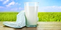 India's Milk Production has Surpassed 200 Million Tonnes
