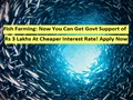 Start Fish Farming & Get Government Support of Upto Rs 3 Lakhs, Procedure To Apply & Other Details Inside!