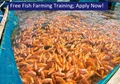 Apply for “Fish Farming Free Training Program” from Government! Complete Details Inside