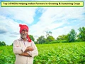Top 10 NGOs Helping Indian Farmers In Growing & Sustaining Crops!