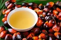 Centre Reduces Agricultural Cess on Crude Palm Oil