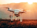 Smart Farming & Youth Employment: PJTSAU Plans Certificate Course on Drone Use
