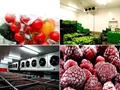 Profitable Cold Storage Business: Requirements, Cost- Profit Analysis & Government Subsidy