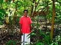 Meet This Teacher Who Turns School Campus Into Herbal Garden & Mini Forest With 450 Trees of 112 Varieties