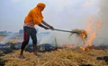 Stubble Burning in India: Causes, Effects & Measures